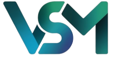 VSM